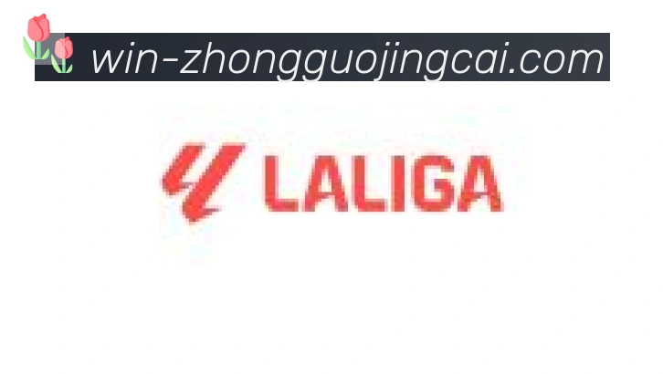 中国竞彩网合作伙伴